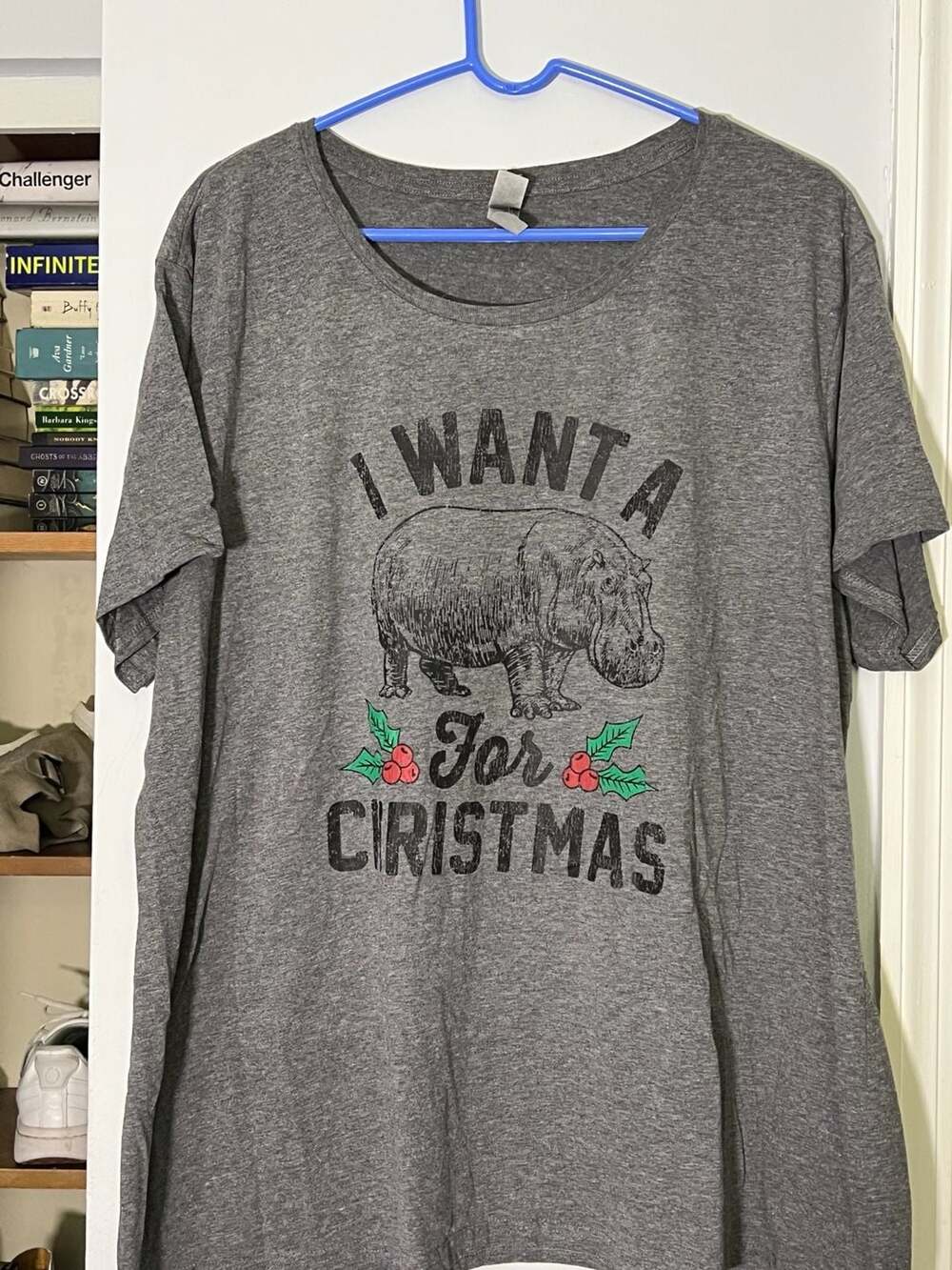 I Want A Hippopotamus For Christmas Graphic T-Shirt Gray